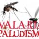 Paludismo: día mundial