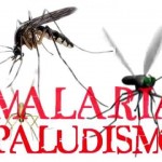 Paludismo: día mundial